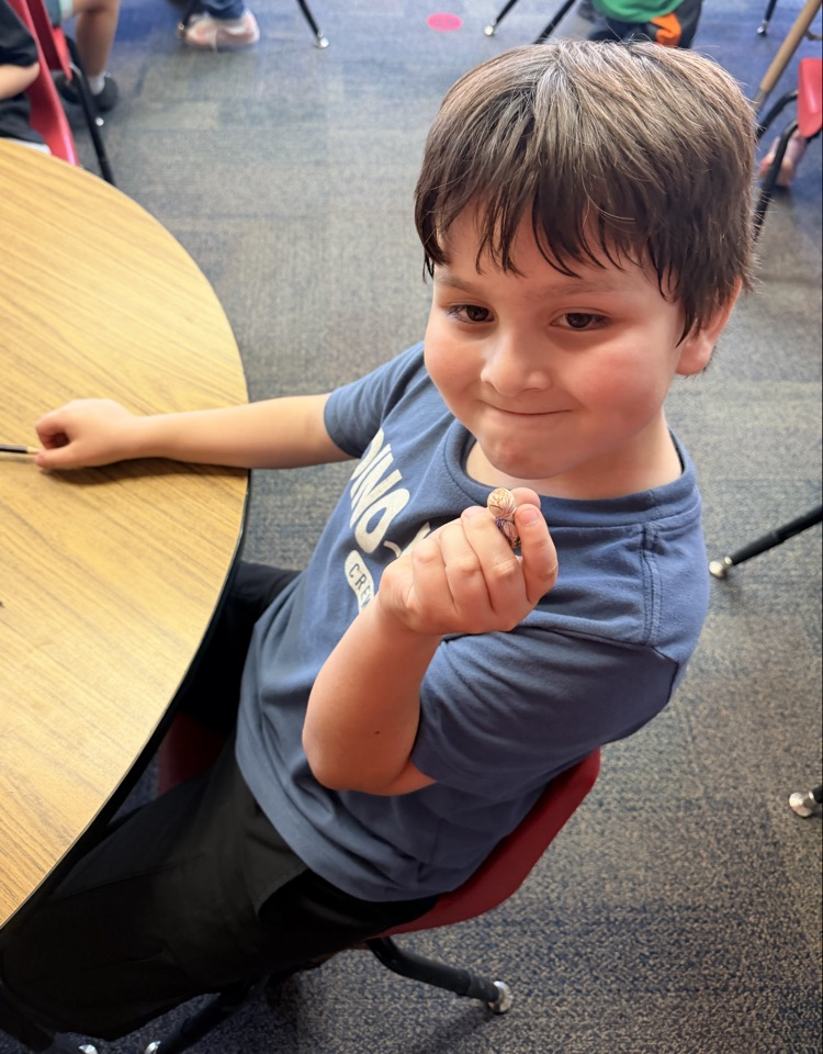 Mrs. Younghans’ 1st grade class created their very own “Tom Thumb” character from their Knowledge story they read today!