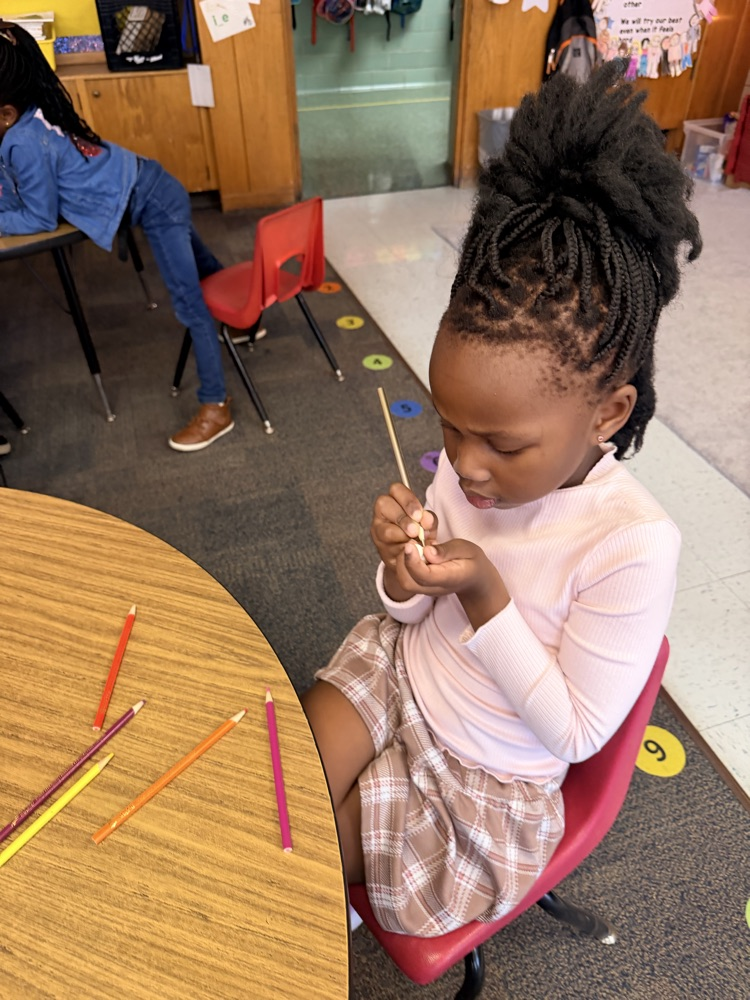 Mrs. Younghans’ 1st grade class created their very own “Tom Thumb” character from their Knowledge story they read today!