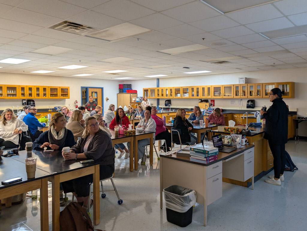 Teacher-led PD session.