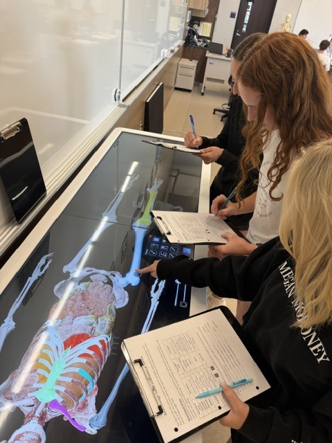 North Royalton High School Students Explore Anatomy Through Interactive Technology