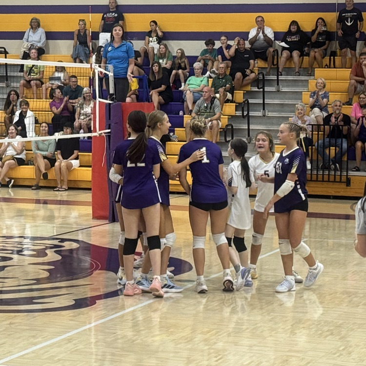 purple volleyball