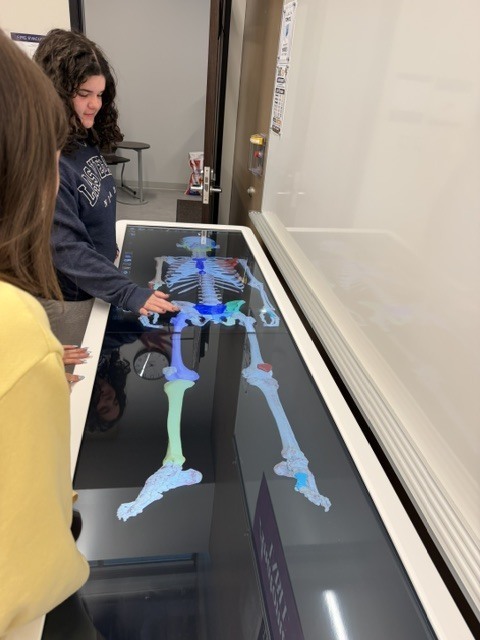 North Royalton High School Students Explore Anatomy Through Interactive Technology