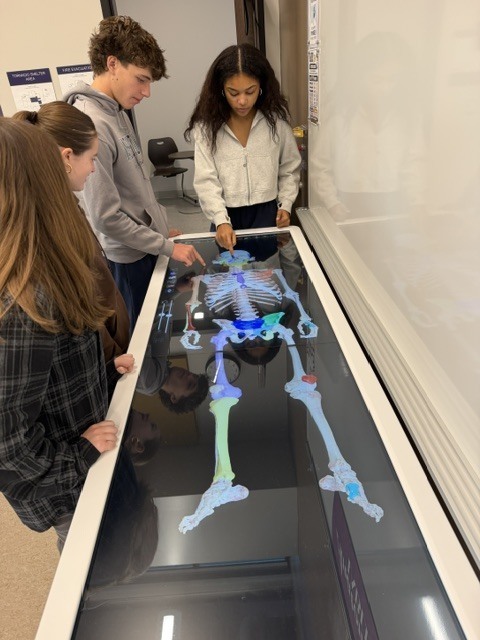 North Royalton High School Students Explore Anatomy Through Interactive Technology
