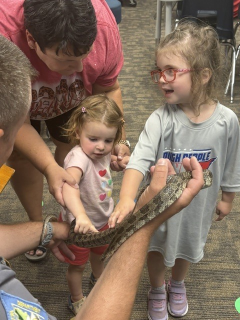 🐍 Up close with one of Missouri's amazing snakes!
