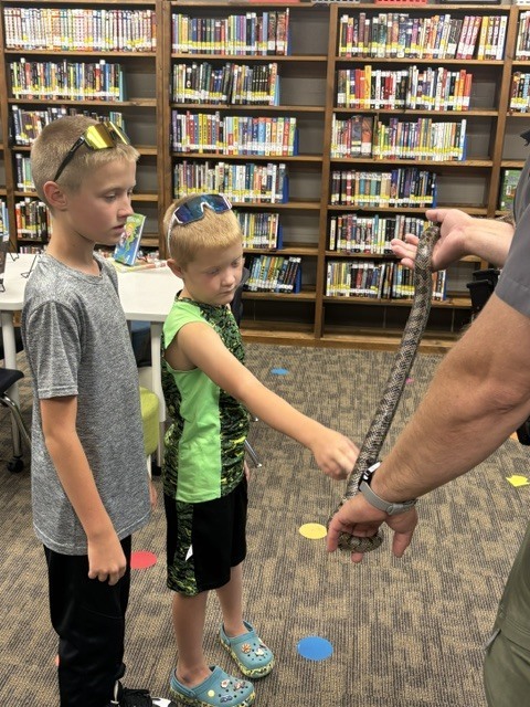 🐍 Up close with one of Missouri's amazing snakes!