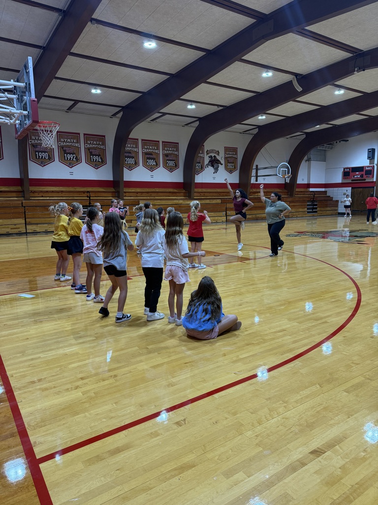 Cheer clinic
