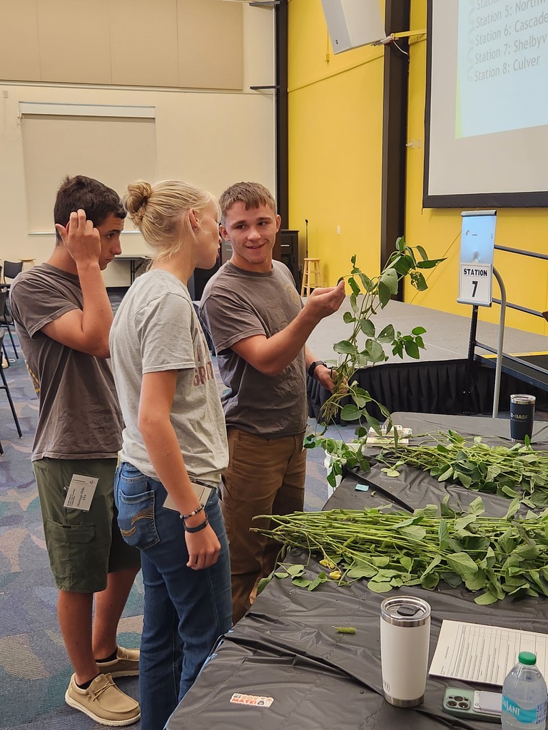 Crop Judging