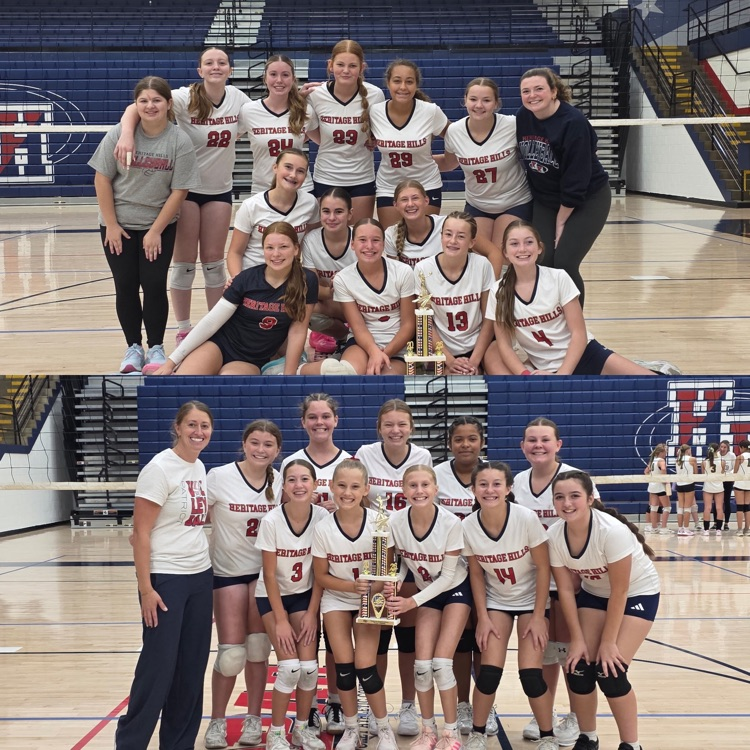 vb champs