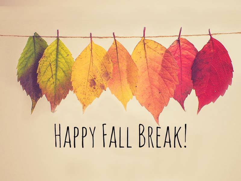 happy fall break with colorful leaves