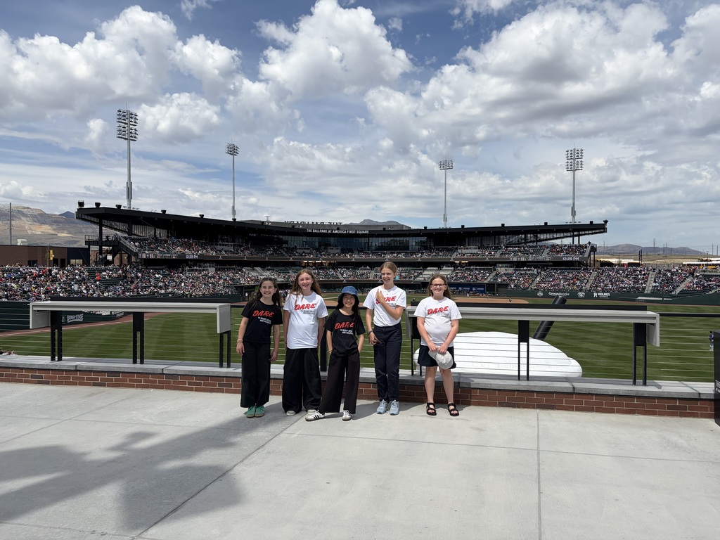 5 girls at the ballpark