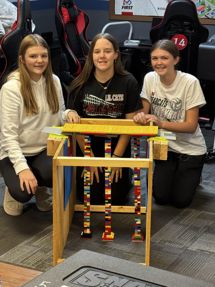 picture of students and bridge