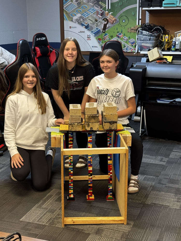 picture of students and bridge