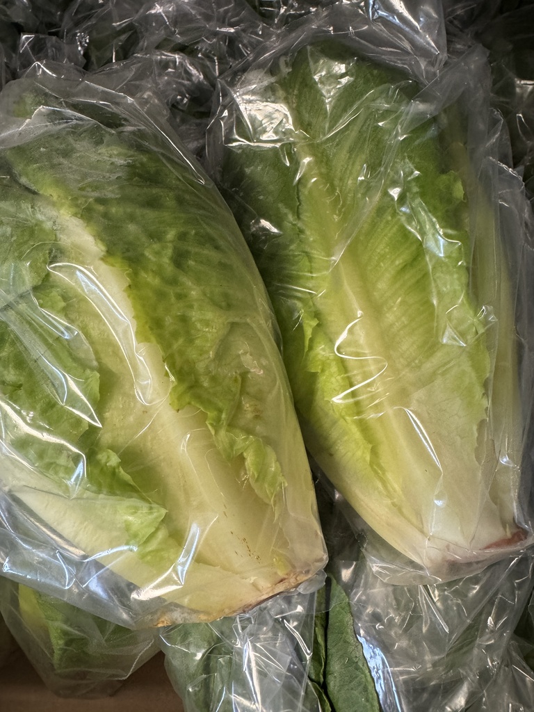 lettuce