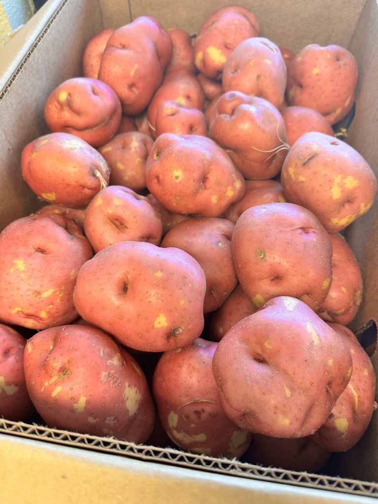 Potato