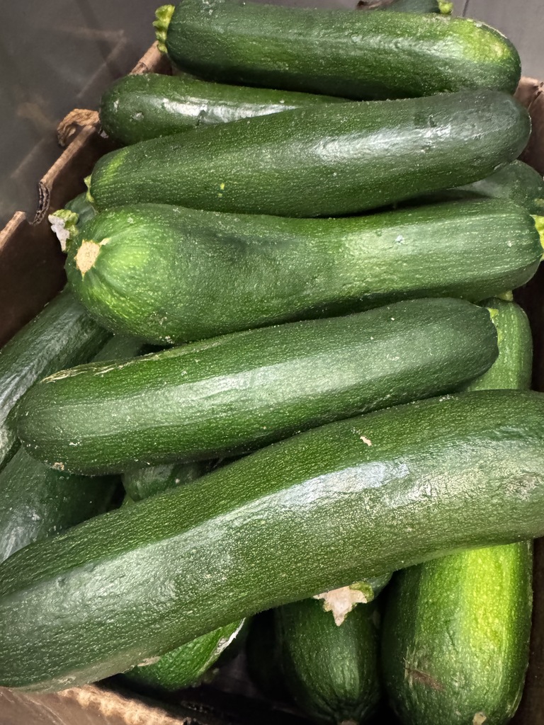 Zuchinni