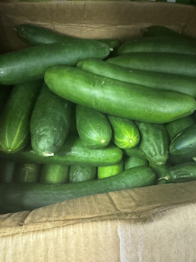 cucumbers