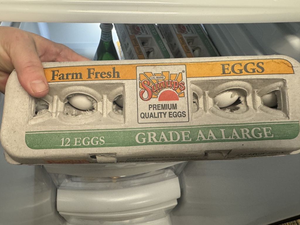 eggs
