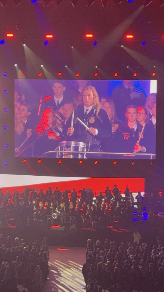 Large crowd watching an audience with musical instruments on stage, large screen behind them, red and blue lighting.