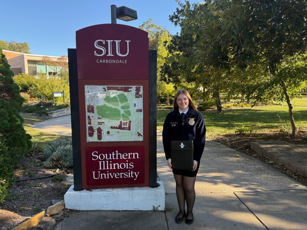 Job Interview Leadership- Alvis