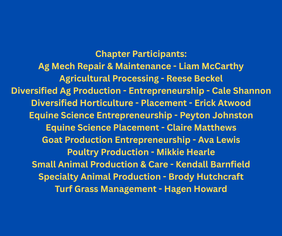 chapter participants