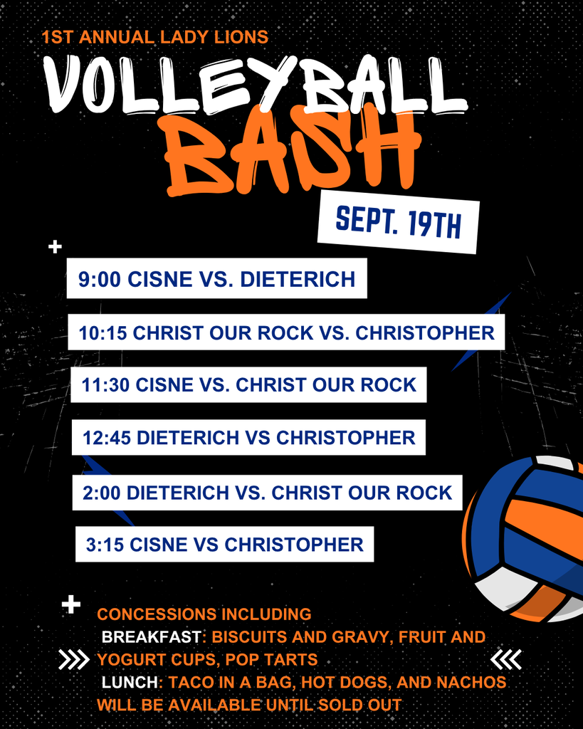 Volleyball Bash