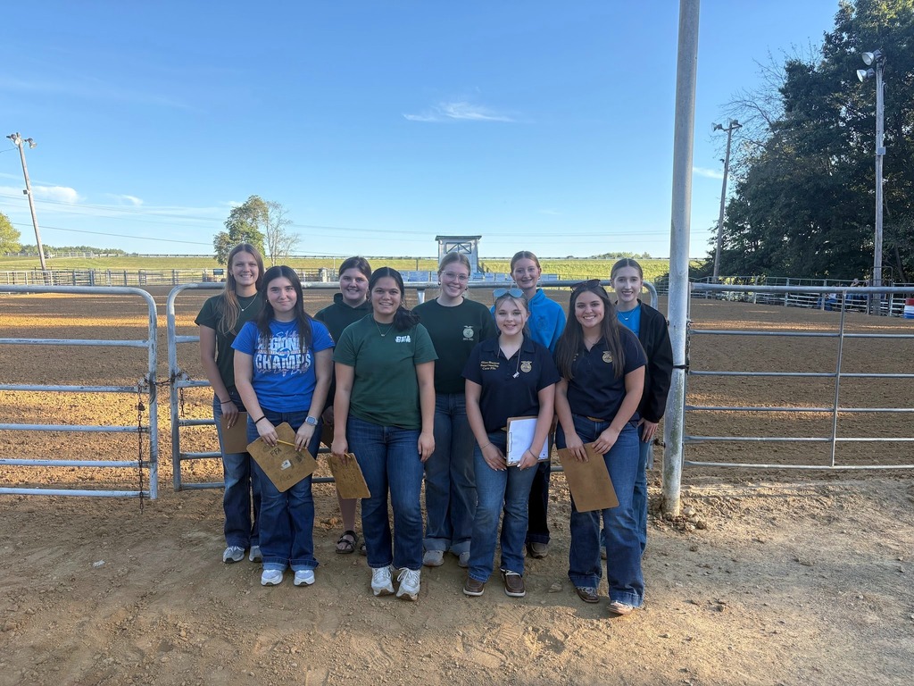 Horse Judging