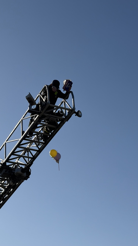 egg drop