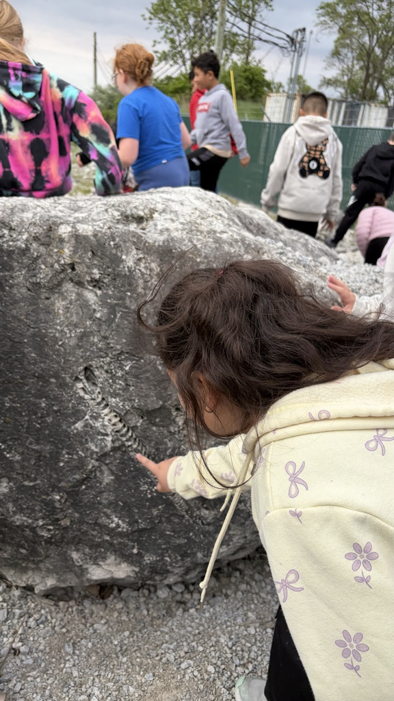 rocks