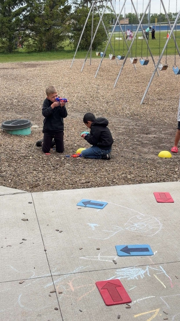 field day