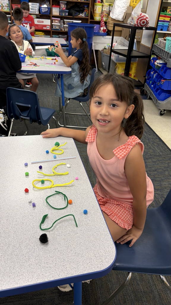 STEM Challenge