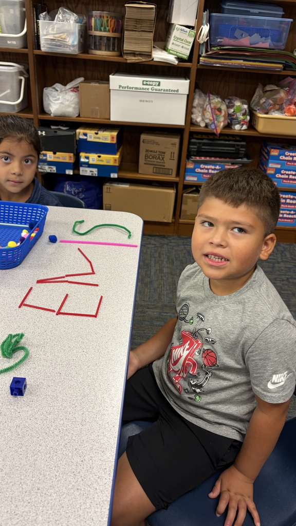 STEM Challenge