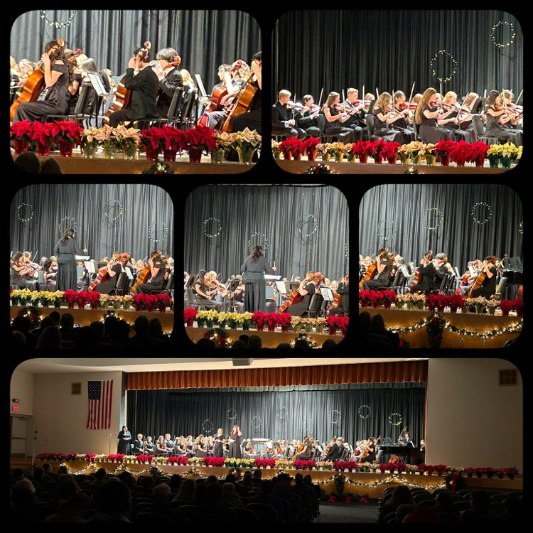 orchestra concert photos