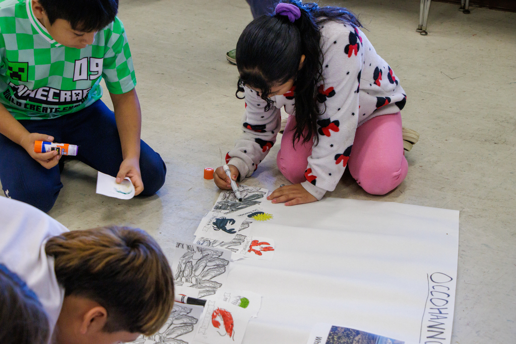 TNC Summer School