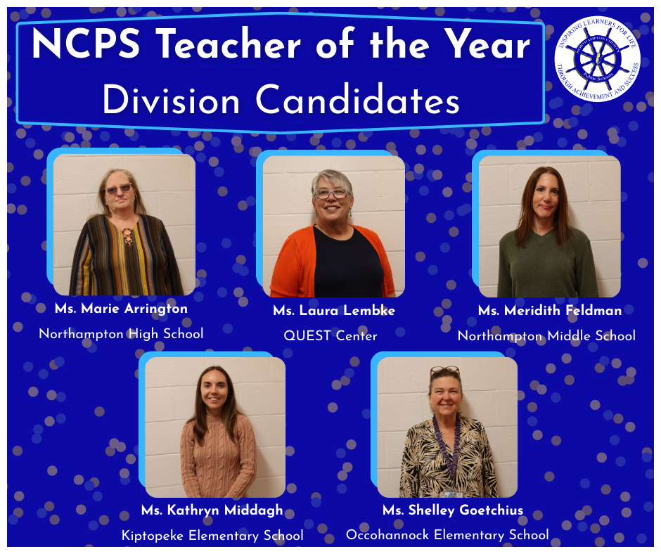 TOY division candidates