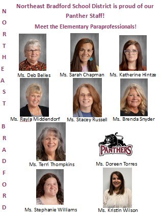 Elem Paraprofessionals