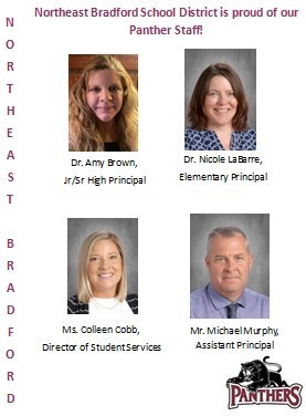 Admin Team