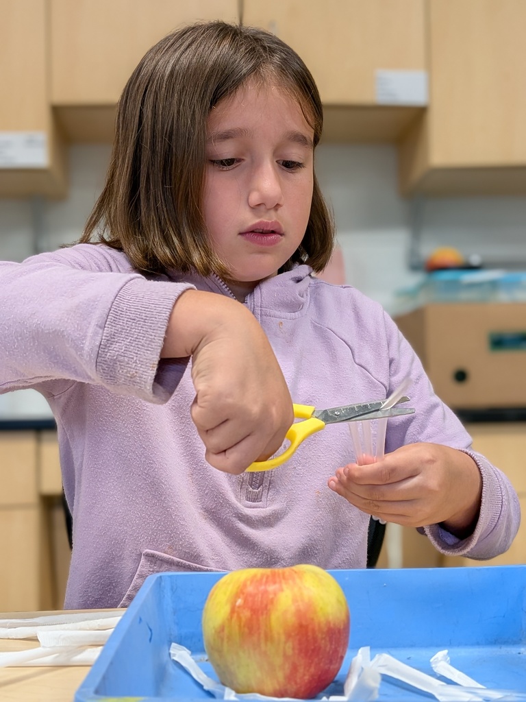 STEM 4