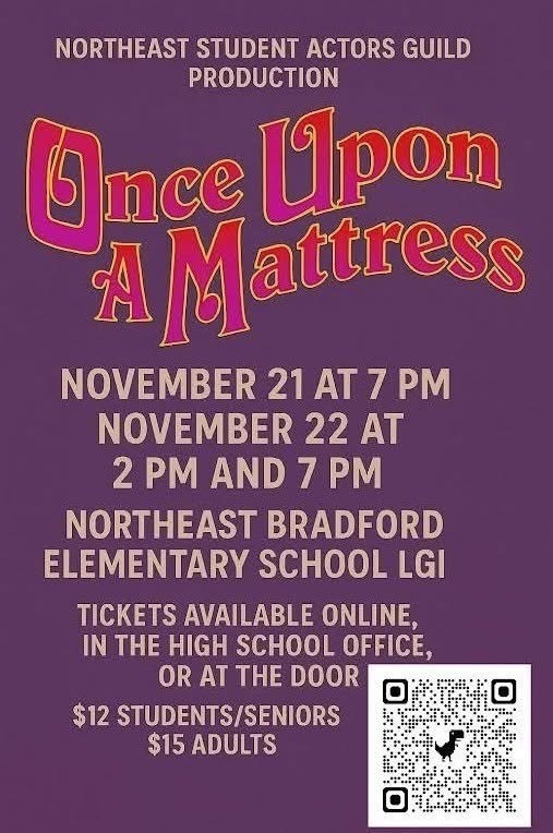 Once Upon a Mattress