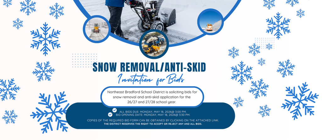 Snow Removal Service Flyer