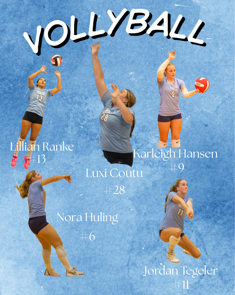 Volleyball