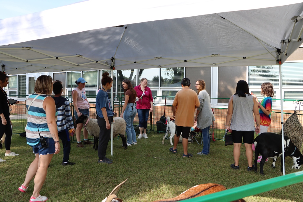 Staff and students among petting zoo