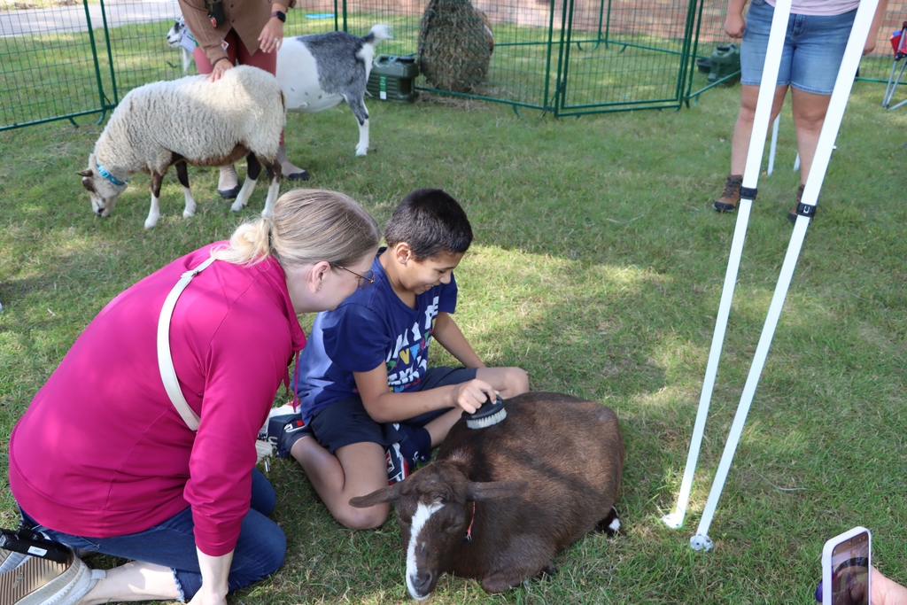 Staff and student brushing goat