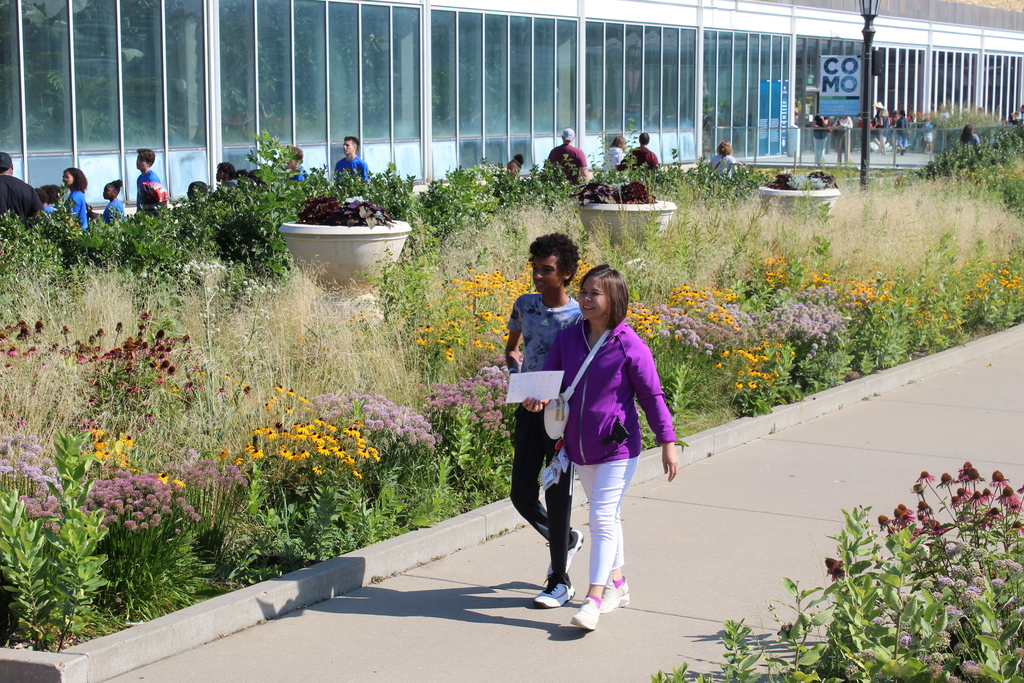 Student and staff walking along a path with flowers in the background. 