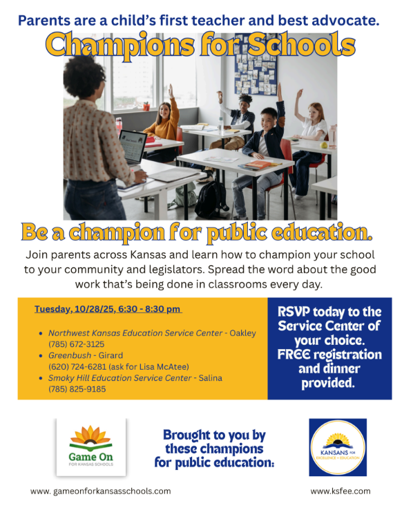 champions for schools flyer