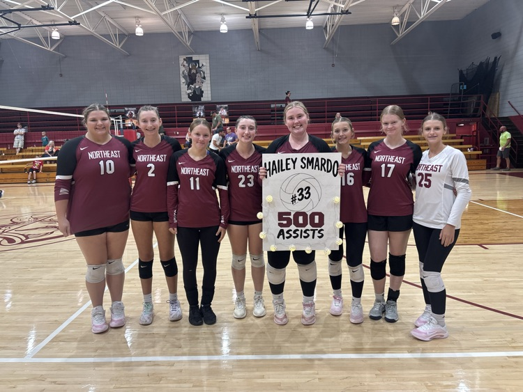 NHS Volleyball