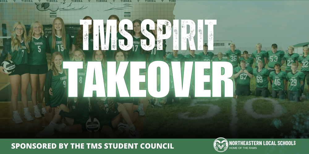 TMS Spirit Takeover