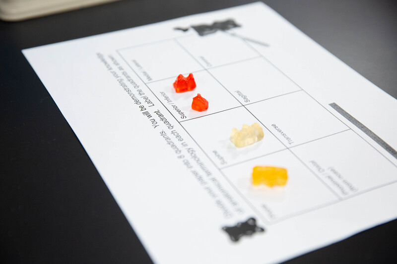 Anatomy Gummy Bears