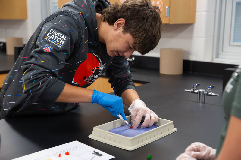 Anatomy Gummy Bears