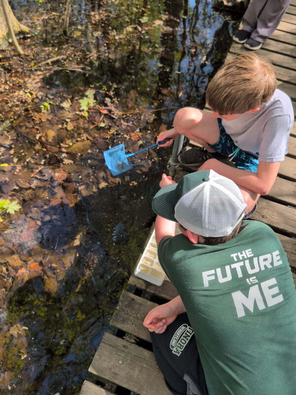 kids catching menos