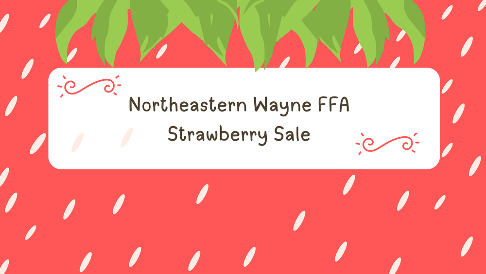 Strawberry Sale